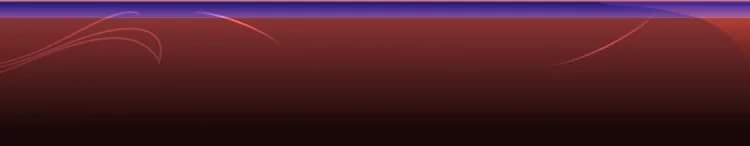 background category section